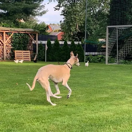 Apartman Hof-idyll Mit Fasssauna / Spielplatz Fuer Kids
