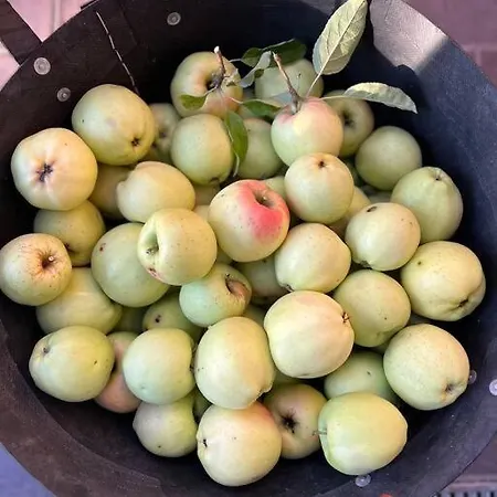 Apartman Hof-idyll Mit Fasssauna / Spielplatz Fuer Kids